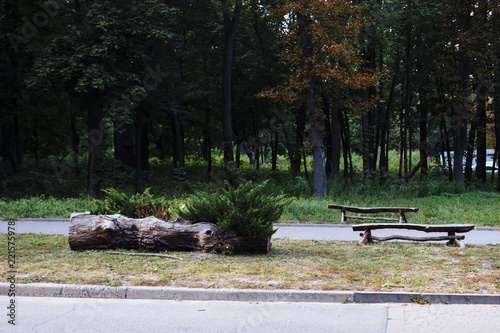 Bench in autumn park. Autumn landscape.