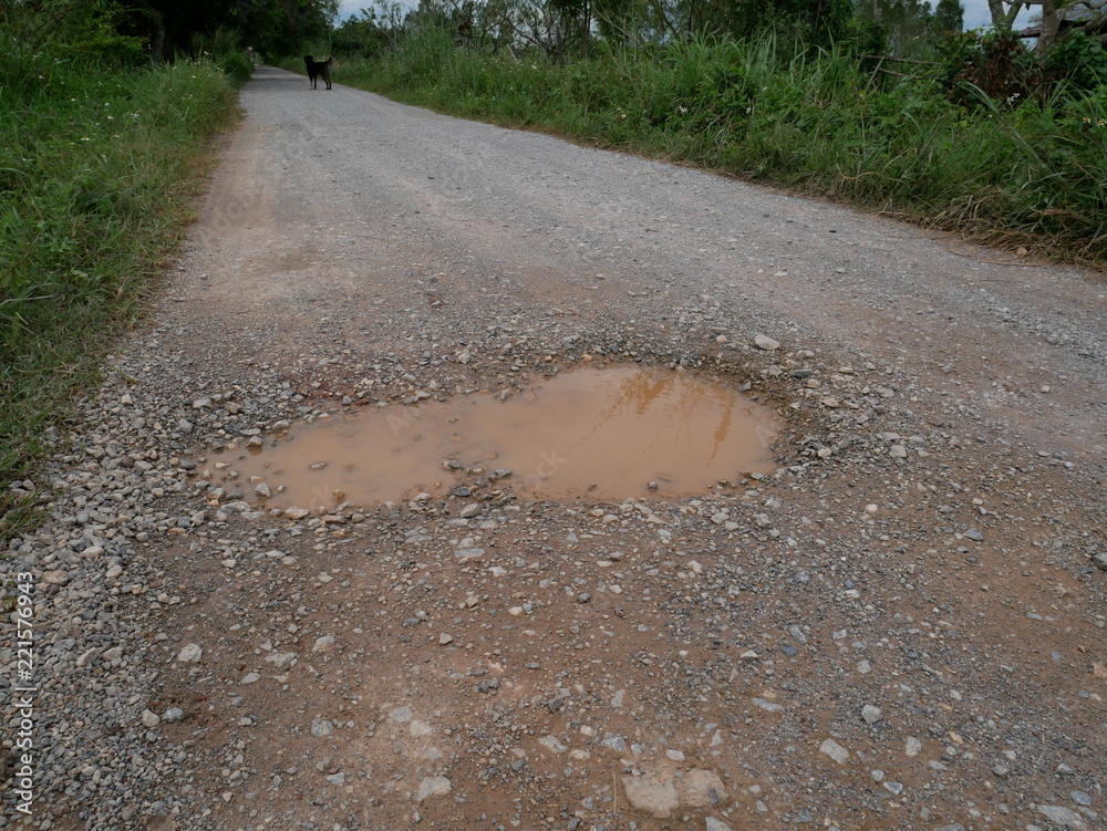 Obraz premium road in forest