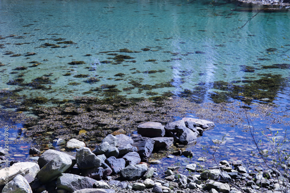 Fototapeta premium stones in water