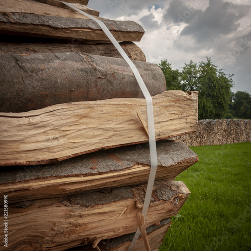 Forestry - Piles of firewood photo