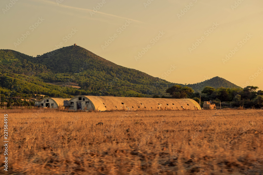 Fototapeta premium landscape with wheat field and blue sky
