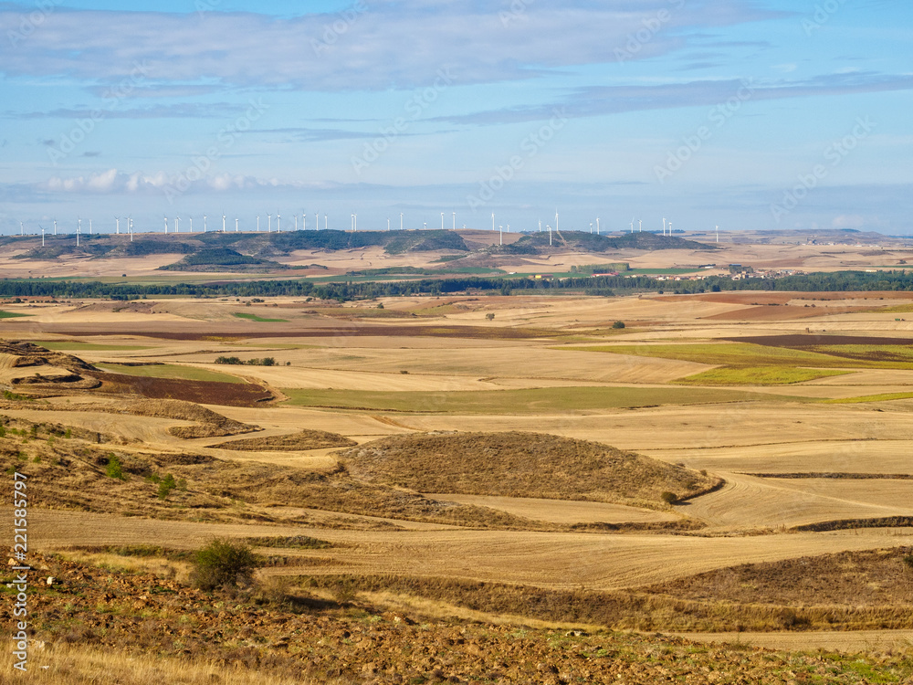 Fototapeta premium View forward of the way ahead from Alto Mestelares - Castrojeriz, Castile and Leon, Spain