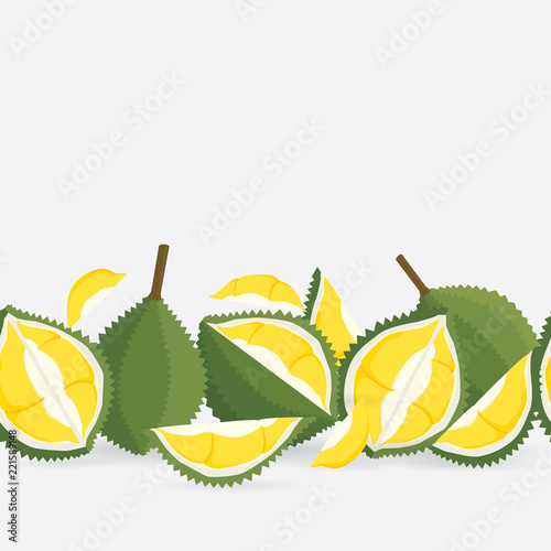 Vector seamless pattern with durian. King of tropical fruits in thailand