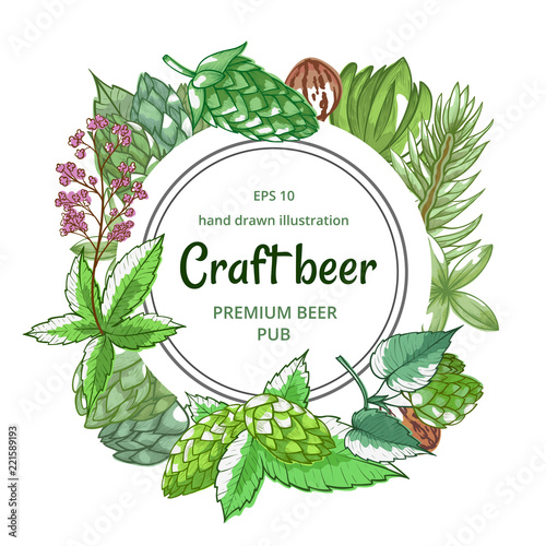 Beer hop green organic frame on white
