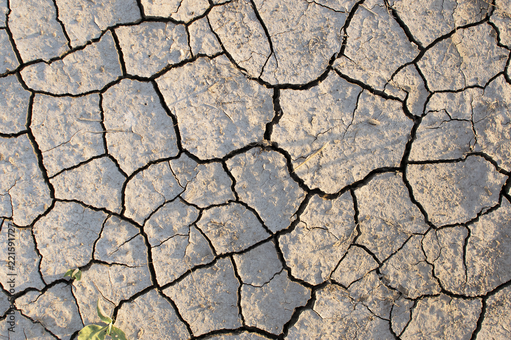 Dry soil texture background. Arid climate. surface detail, top view arid soil is dried and broken with large cracks Dry soil texture background. Arid climate. surface detail, top view arid soil is dried and broken with large cracks