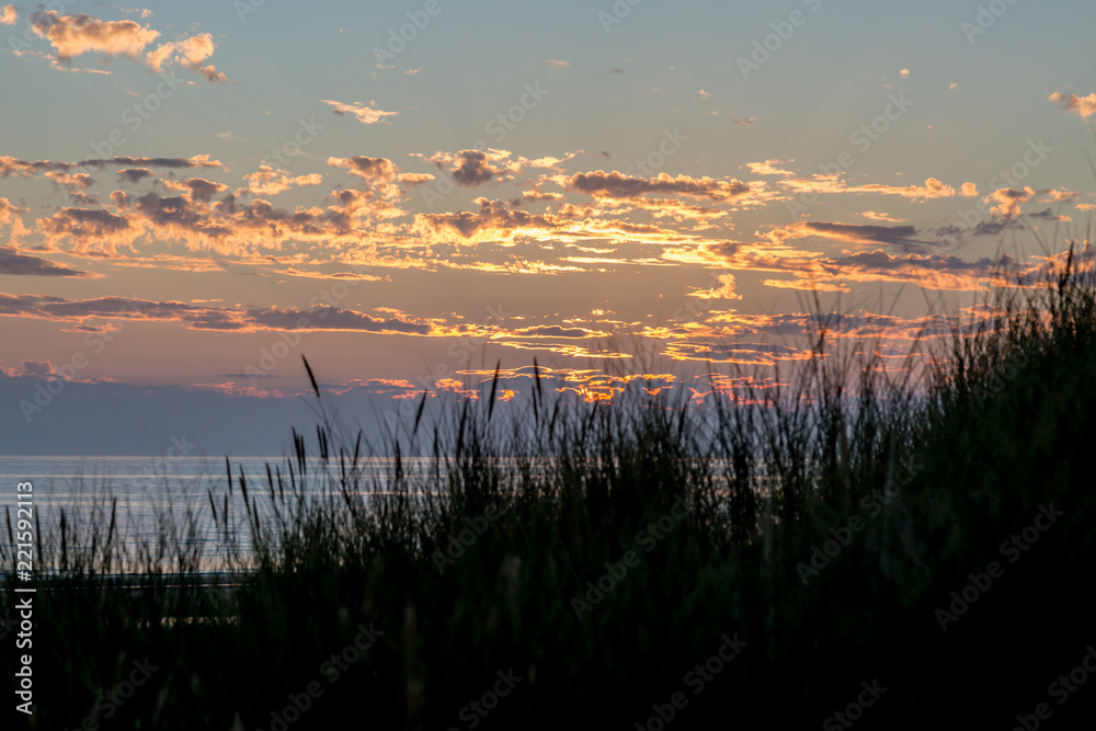 Silhouetted grass on a sand dune at Formby beach, with a sunset overhead