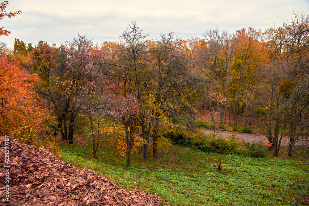 Naklejka premium Hryshko National Botanical Garden at autumn in Kyiv, Ukraine