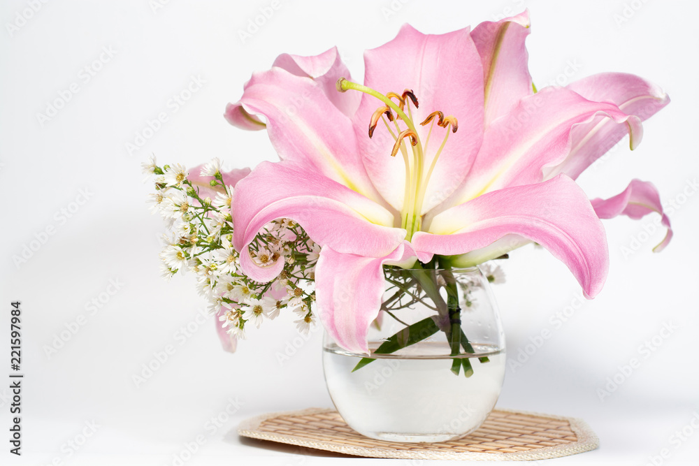Beautiful pink lily in a glass vase on a background white Beautiful pink lily in a glass vase on a background white