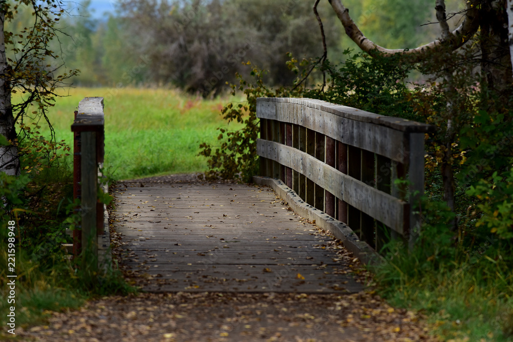 Rural farm bridge Rural farm bridge