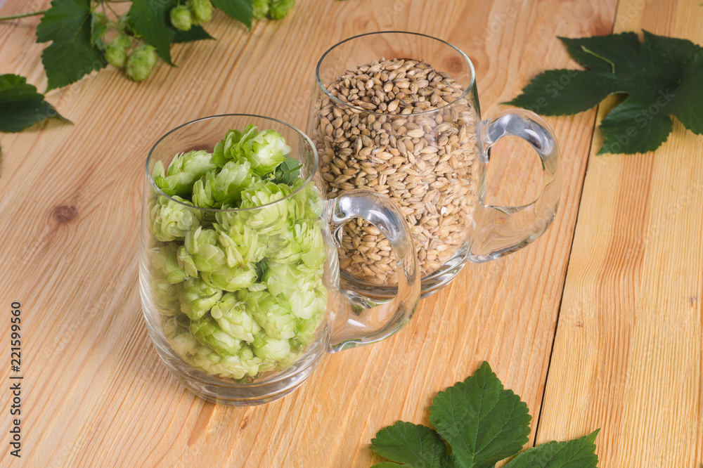 Cones of hops and pale caramel malt in glass mug, closeup. Ingredient in craft beer brewing from grain barley malt. Ale or lager from pilsner malt. Cones of hops and pale caramel malt in glass mug, closeup. Ingredient in craft beer brewing from grain barley malt. Ale or lager from pilsner malt.