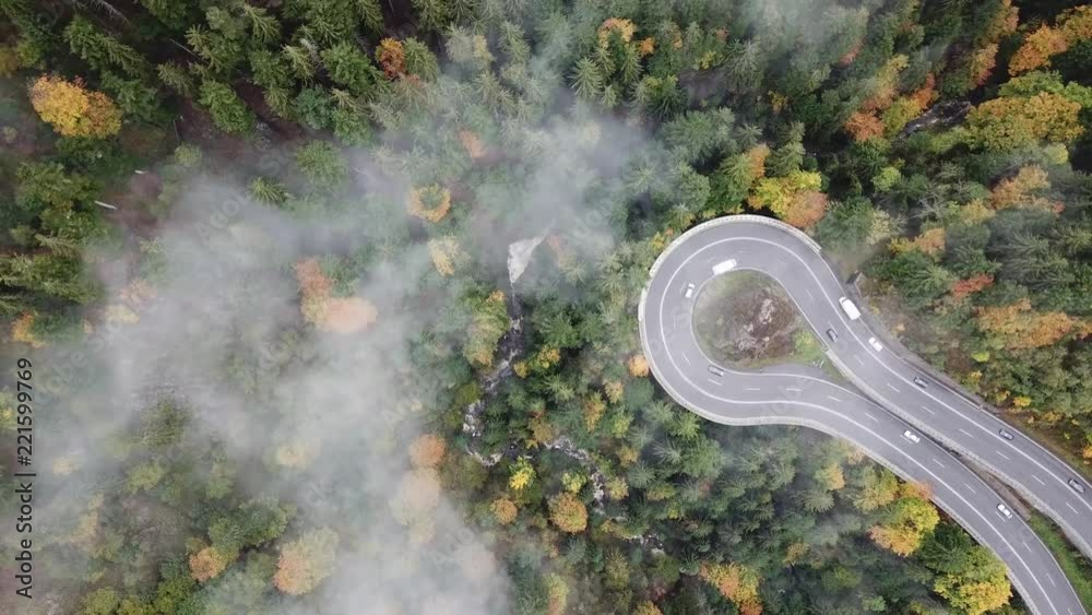 street from above trough a misty forest at autumn, aerial view flying through the clouds with fog and trees