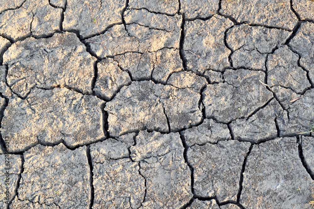 Cracks in the ground. Dry, dehydrated soil. Drought. Ecological catastrophy Cracks in the ground. Dry, dehydrated soil. Drought. Ecological catastrophy