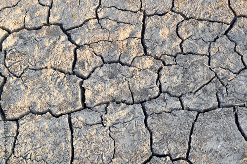 Cracks in the ground. Dry, dehydrated soil. Drought. Ecological catastrophy