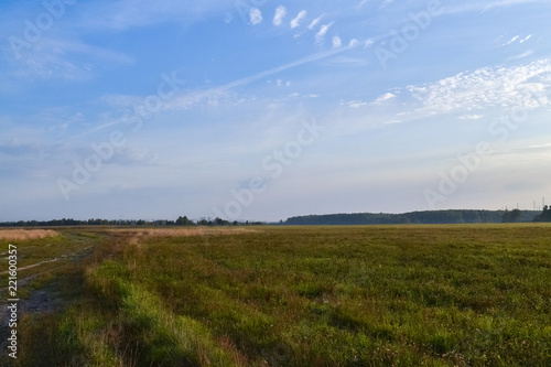 Summer landscape. Field and sky with clouds. Russia. Evening