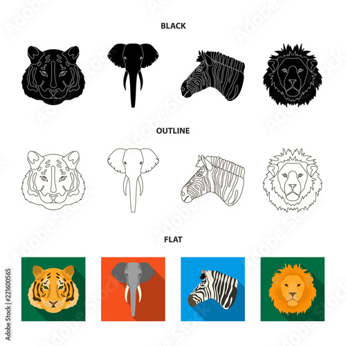 Tiger, lion, elephant, zebra, Realistic animals set collection icons in cartoon style vector symbol stock illustration web.