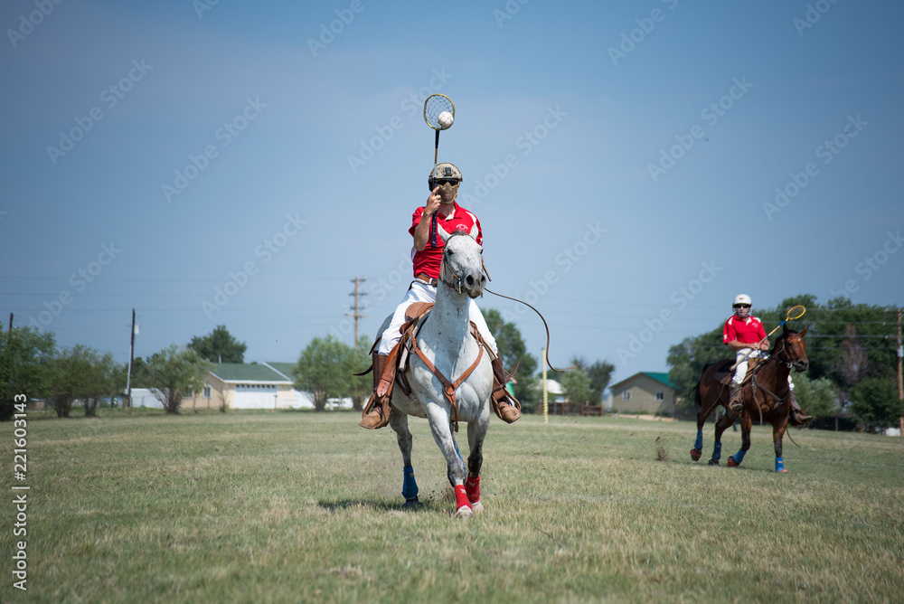 Polocrosse Action Shot Polocrosse Action Shot