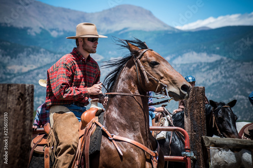 Cowboy and Horse at Rodeo