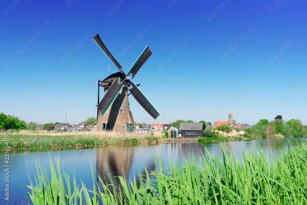 Fototapeta premium traditional dutch windmill with reflection at Kinderdijk at summer day with green grass, Netherland