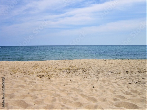 Beach under blue sky 