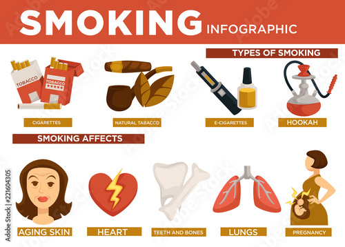 Smoking infographic types and affect on body vector