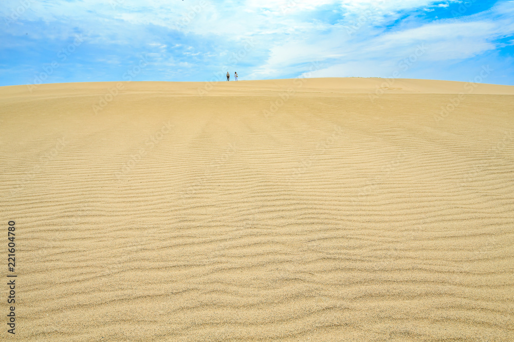 鳥取砂丘 風紋と青空と丘に立つ人 Stock 写真 Adobe Stock