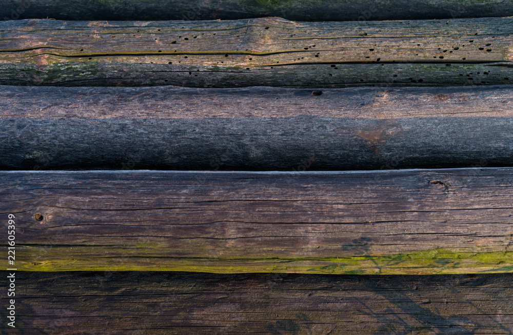 A pile of cut tree trunks lying alongside each other, wood background