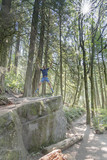 Man jumping on hiking trail large rock with streaming sunshine thru pine trees