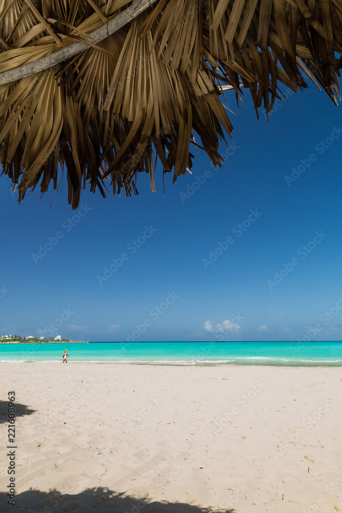 Exuma, Bahamas beach scene looking out from a palapa at the blue ocean and sky