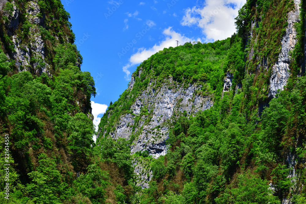 mountain gorge in an Abkhazia in summer