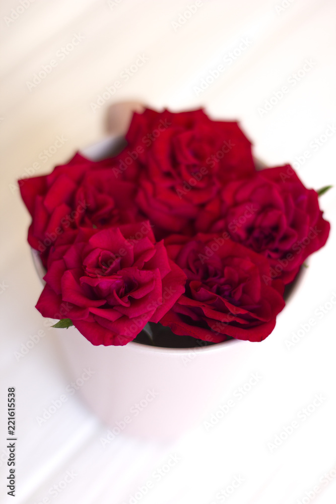 Arrangement from a cup for tea with roses Arrangement from a cup for tea with roses