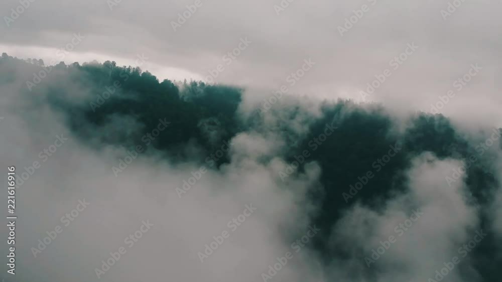 Mtirala national parak in country georgia