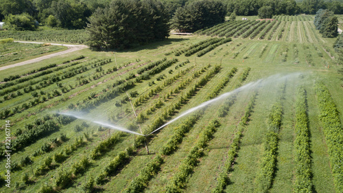 Drone Irrigation
