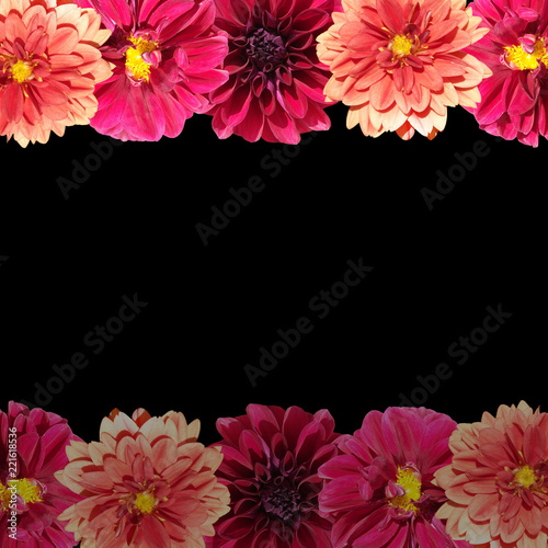 Fototapeta Naklejka Na Ścianę i Meble -  Beautiful floral background of dahlias 