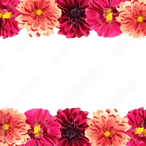 Fototapeta Naklejka Na Ścianę i Meble -  Beautiful floral background of dahlias 