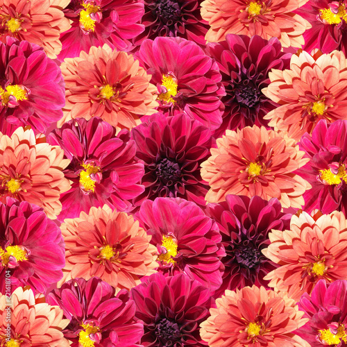 Beautiful floral background of dahlias  © Ann-Mary