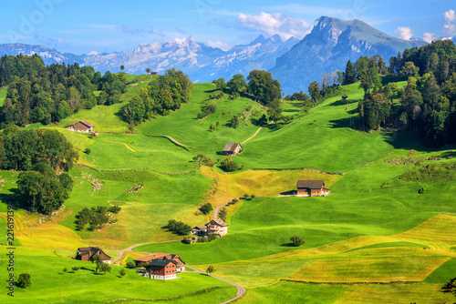 Idyllic green meadows and Alps mountains landscape, Switzerland