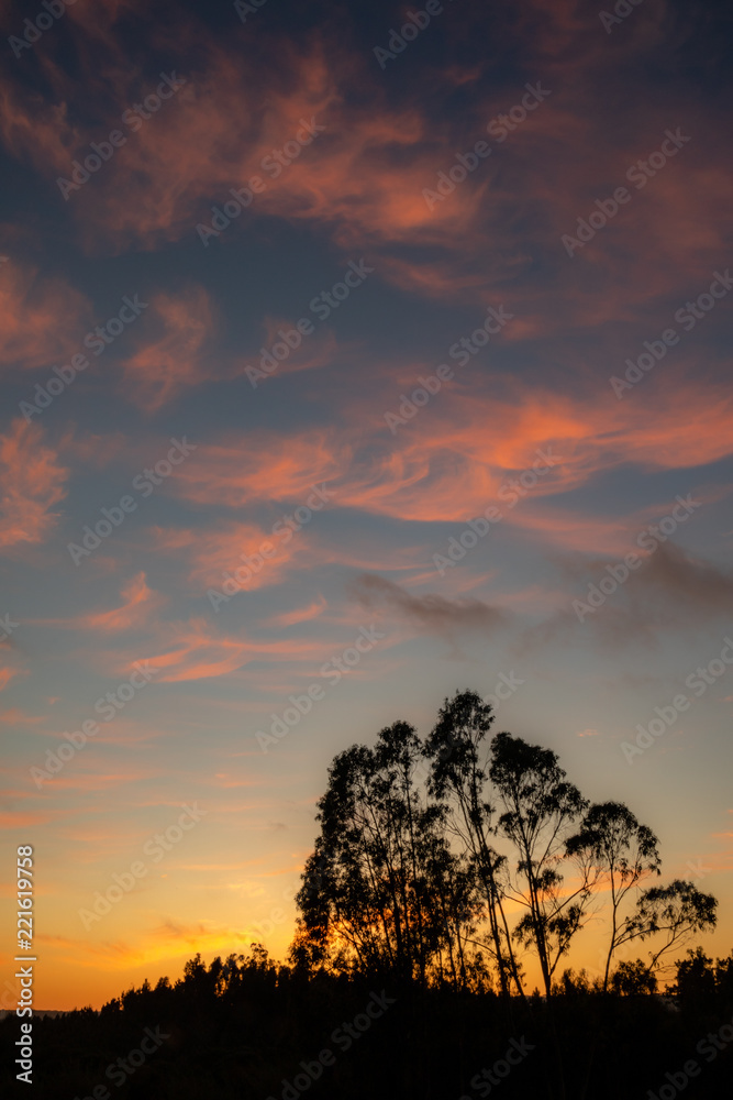 Obraz premium Sunset