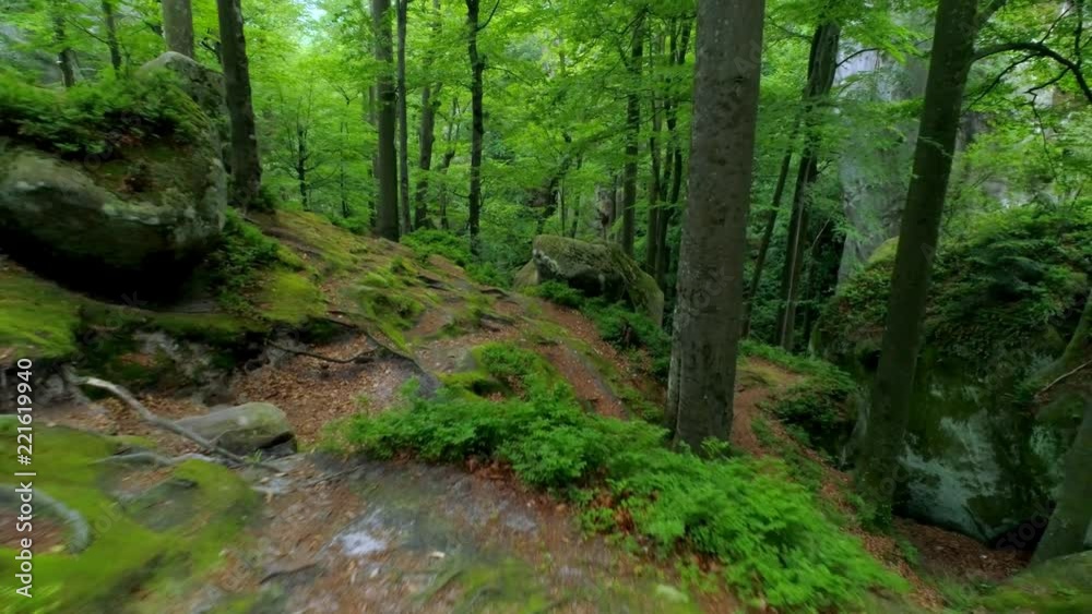Low Flight across rocky mountain forest with Green vegetation growing on a cliff Low Flight across rocky mountain forest with Green vegetation growing on a cliff