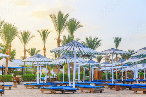 sunbeds and umbrellas on the sandy beach