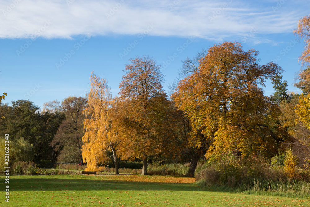 Beautiful autumn day in Frederiksbork park, Hilleroed, Denmark Beautiful autumn day in Frederiksbork park, Hilleroed, Denmark