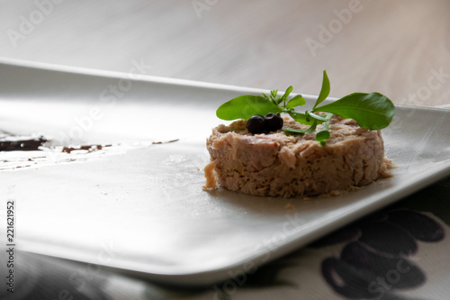 Tuna meat displayed on a white squared plate, and decored with vinegar glaze representing a ship. 