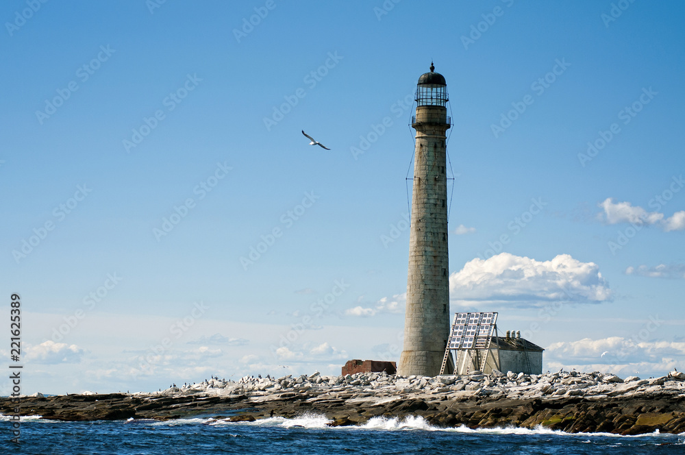 Seagull Flies By Tallest Stone Lighthouse in New Engand
