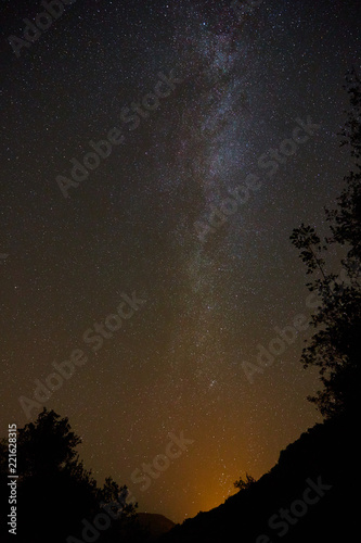 Stars with milky way over the mountain between trees shadows