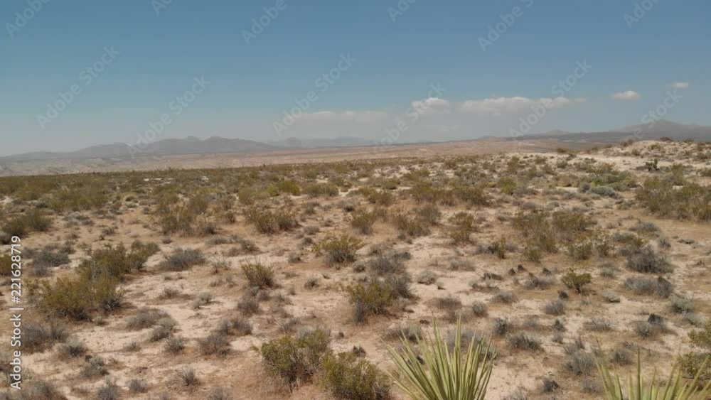 Aerial Shot of Mojave Desert California Joshua Trees and Bushes USA Aerial Shot of Mojave Desert California Joshua Trees and Bushes USA