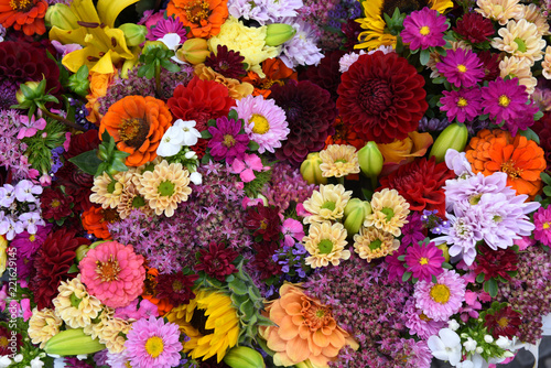 Blumen, Hintergrund, formatfüllend © Tatjana Balzer