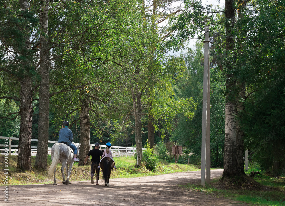 Fototapeta premium Equestrian horse with a female rider after a training walk from the paddock to the pasture.