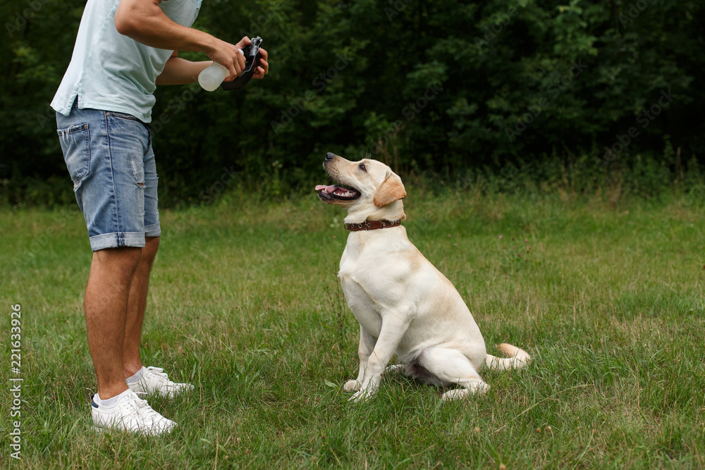 Happy young man drinking dog Labrador Happy young man drinking dog Labrador