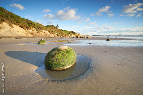 Bild auf Leinwand Early Morning On Famous Moeraki Boulders, Koekohe beach,Otago, South Island, New