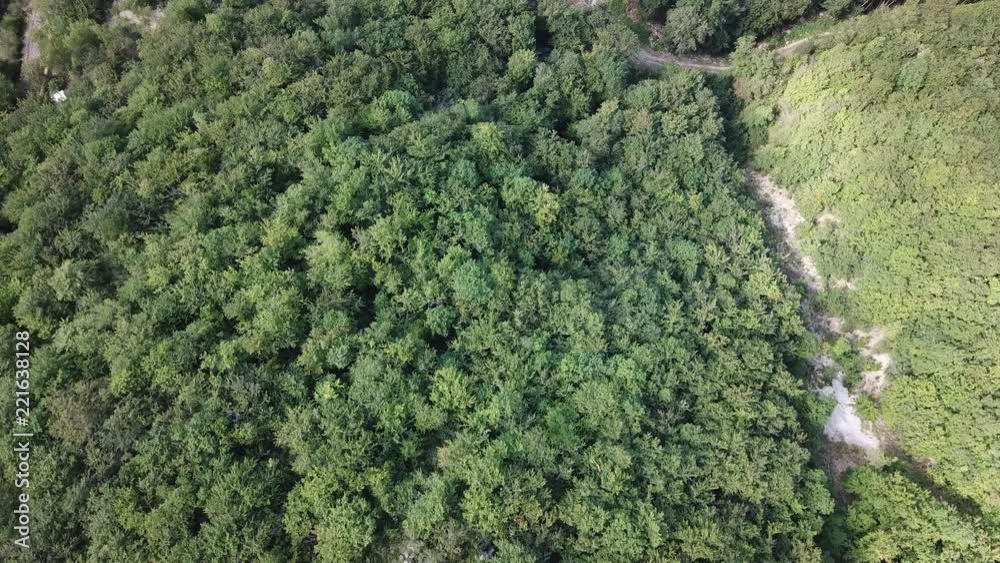 aerial view of meadow and forest in Pyrenees, Aude in the southern of France
aerial view of meadow and forest in Pyrenees, Aude in the southern of France