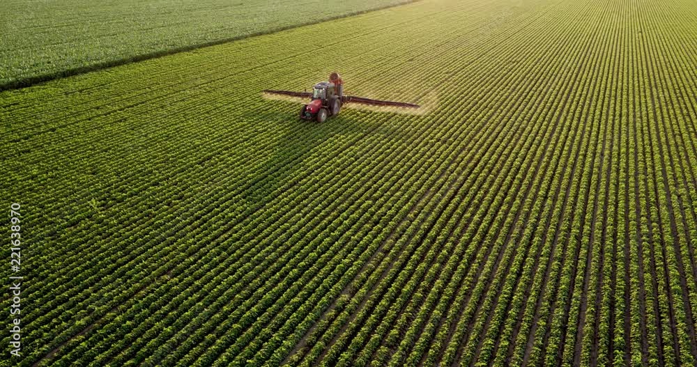 Aerial drone shot of a farmer spraying soybean fields